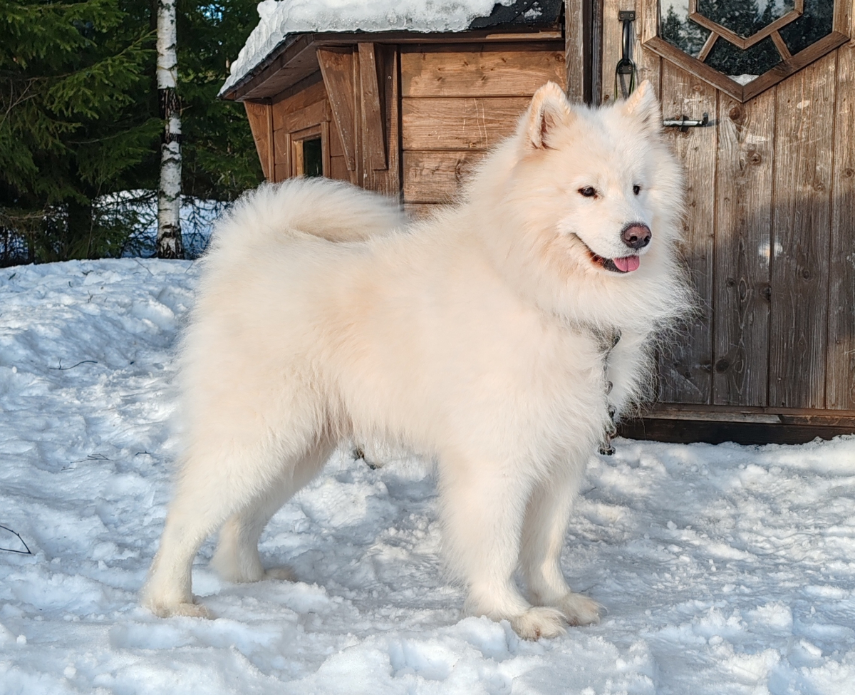 FI KVA Tuulentaipaleen Rölli Rupeltaja